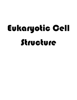 Eukaryotic Cell Structure What do my classmates and I already know