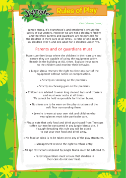 Rules of Play - Jungle Mania