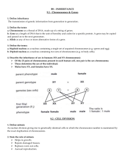 B9 Revision notes