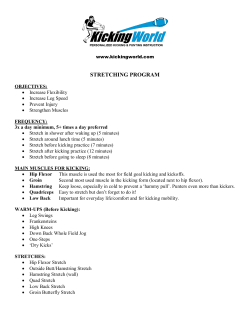 stretching program