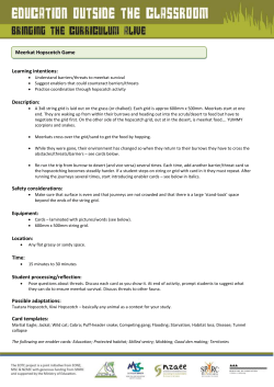 Activity - Meerkat Hopscotch Game