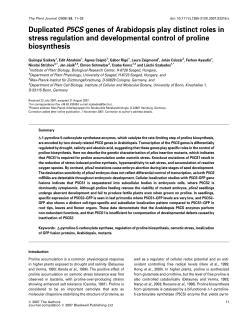 Duplicated P5CS genes of Arabidopsis play distinct roles in stress