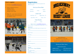 Spring Breakaway Hockey League Flyer 2015