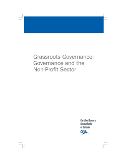 Grassroots Governance: Governance and the Non