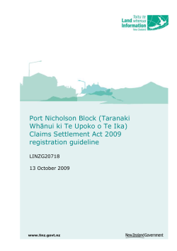 Port Nicholson Block