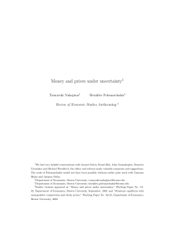 Money and prices under uncertainty - Wiwi Uni