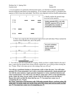 Problem Set #11 to be handed out Friday 11-10-2000
