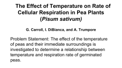 The Effect of Temperature on Rate of Cellular Respiration in Pea