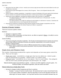 Single Gene and Polygenic Traits