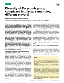 Diversity of Polycomb group complexes in plants - iGRAD