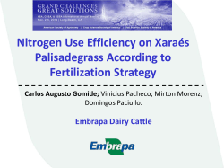 Nitrogen Use Efficiency on Xara&eacute;s Palisadegrass According to