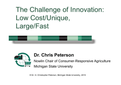 The Challenge of Innovation: Low Cost/Unique, Large/Fast