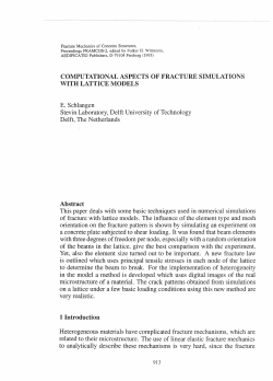 Computational Aspects of Fracture Simulations with Lattice Models