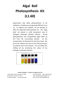 Algal Ball Photosynthesis Kit (L1.60)