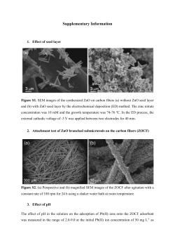 Supplementary Information