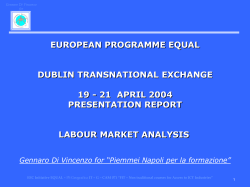 PROMIS &ndash; Labour Market Analysis by Gennaro Di Vincenzo