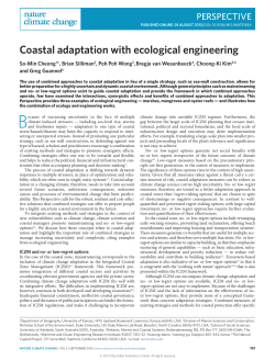Coastal adaptation with ecological engineering