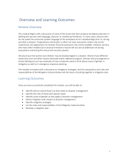 Mitigation Strategies