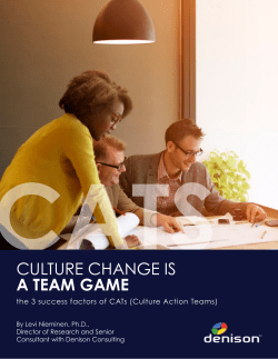 Culture Change is a Team Game.pub