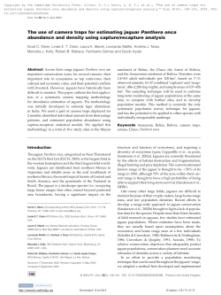 The use of camera traps for estimating jaguar