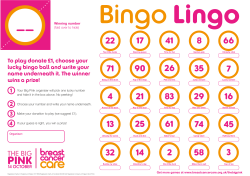 To play donate &pound;1, choose your lucky bingo ball and write your