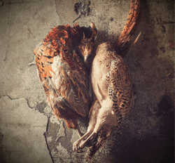 GAME - La Rousse Foods