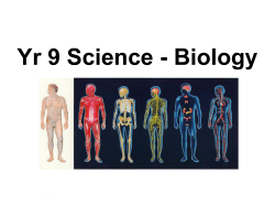 Human Body Systems