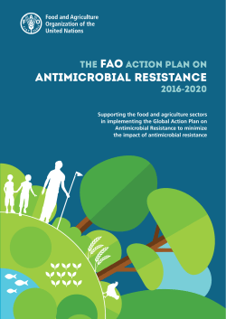 The FAO Action Plan on Antimicrobial Resistance 2016-2020