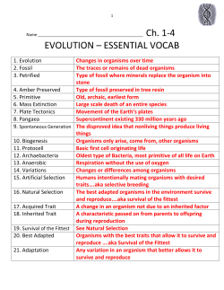 The formation of a new species due to evolution