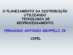 Fernando Ant&ocirc;nio Gruppelli Jr - COPEL