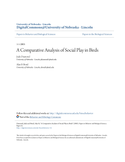 A Comparative Analysis of Social Play in Birds