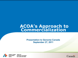 Commercialization Strategy Deck - Executive