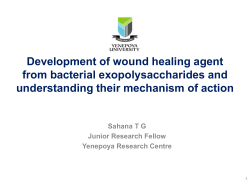 Development of wound healing agent from bacterial