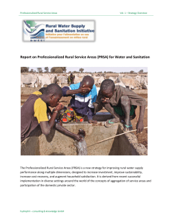 Strategy Overview - Report on Professionalized Rural Service Areas