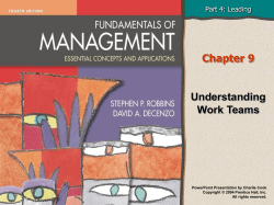 Fundamentals of Management 4e.