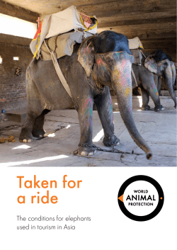 Taken for a ride - World Animal Protection