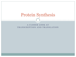 Protein Synthesis