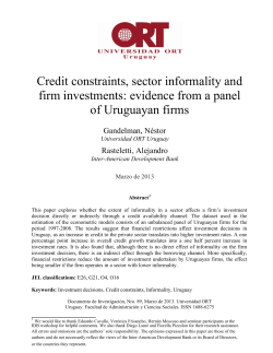 Credit constraints, sector informality and firm investments