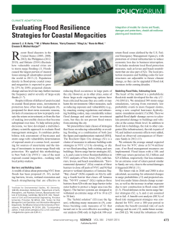 Evaluating Flood Resilience Strategies for Coastal Megacities