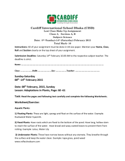 Science - Cardiff International School Dhaka