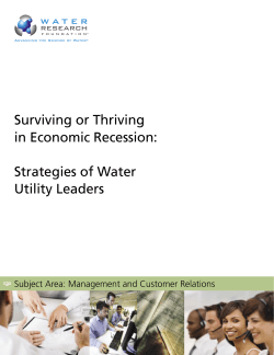 Surviving or Thriving in Economic Recession: Strategies of Water