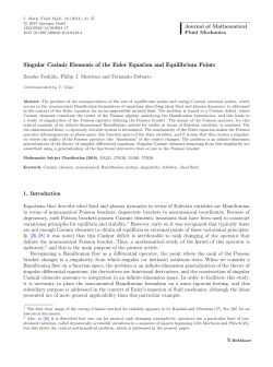 Singular Casimir Elements of the Euler Equation and Equilibrium