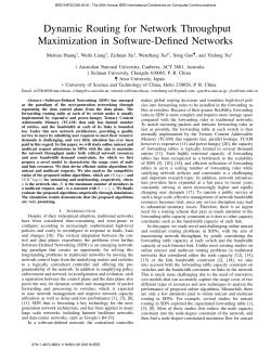 Dynamic Routing for Network Throughput Maximization in Software