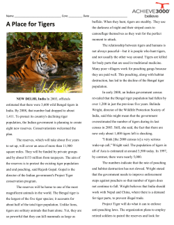A Place for Tigers