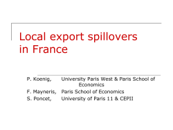 Local export spillovers in France: An analysis at the product and firm