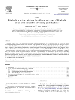 Blindsight in action: what can the different sub