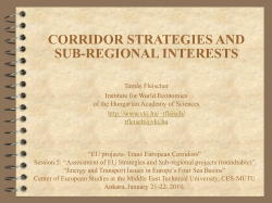 corridor strategies and subregional interests