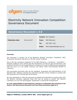 FINAL Elec NIC Gov Doc 29.06.17