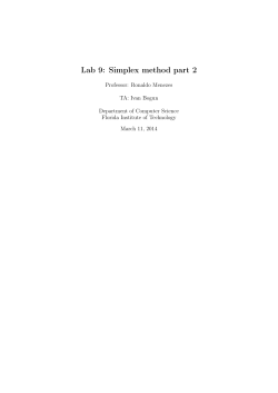 Lab 9: Simplex method part 2