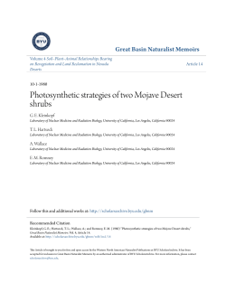 Photosynthetic strategies of two Mojave Desert shrubs